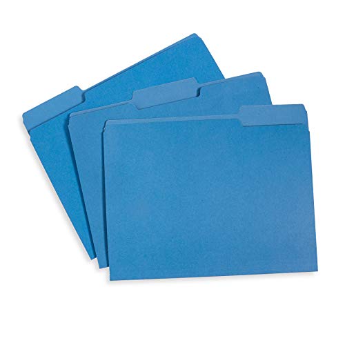 Minimalist File Folder, 1/3 Cut Tab, Letter Size, Blue, Great for Essentials